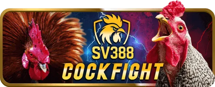 Thương hiệu uy tín hitha88